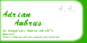 adrian ambrus business card